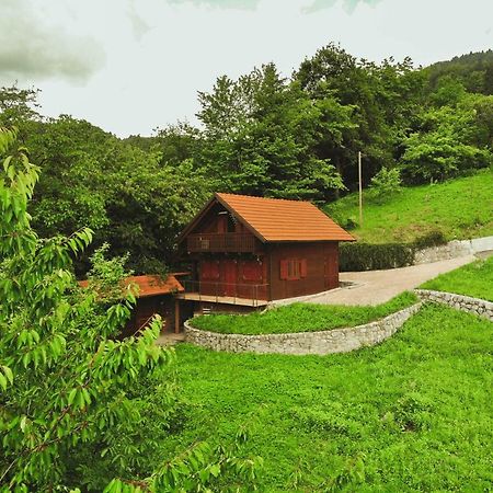 הוילה Pluznje Lazec Country House מראה חיצוני תמונה