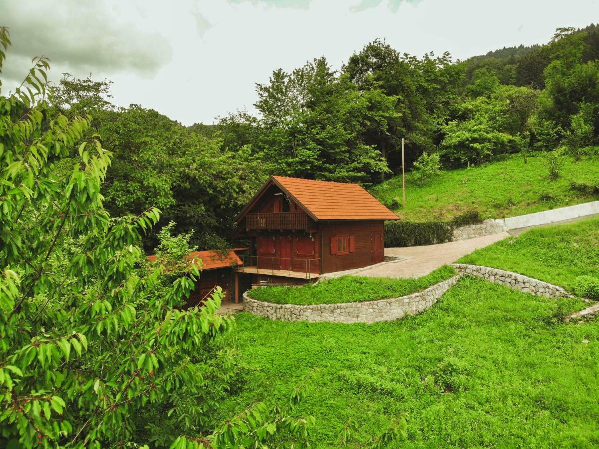 הוילה Pluznje Lazec Country House מראה חיצוני תמונה